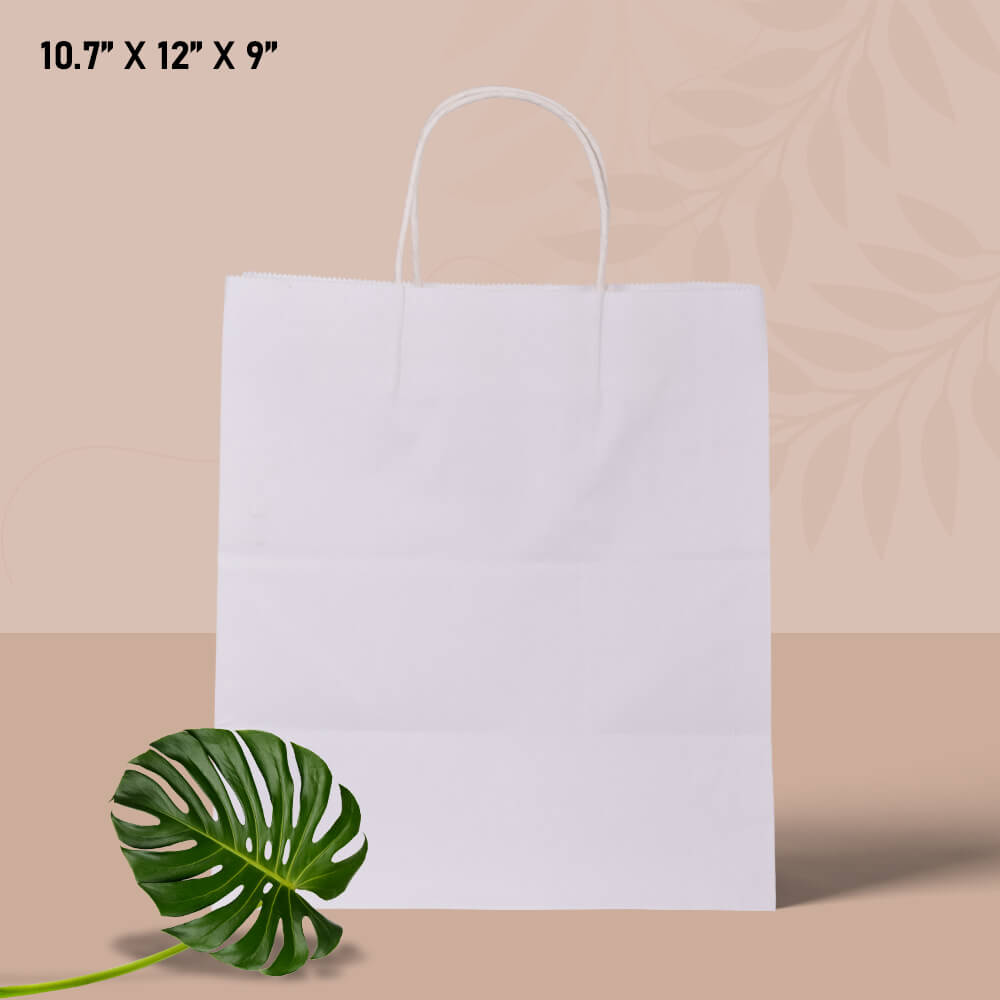 10-7-12-9-1-color White paper bag with handle 10*7*12