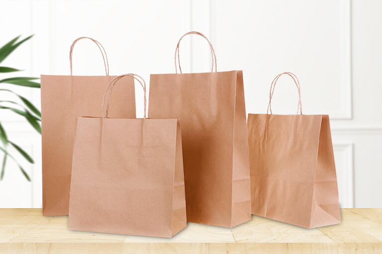 Brown Bag with Handles